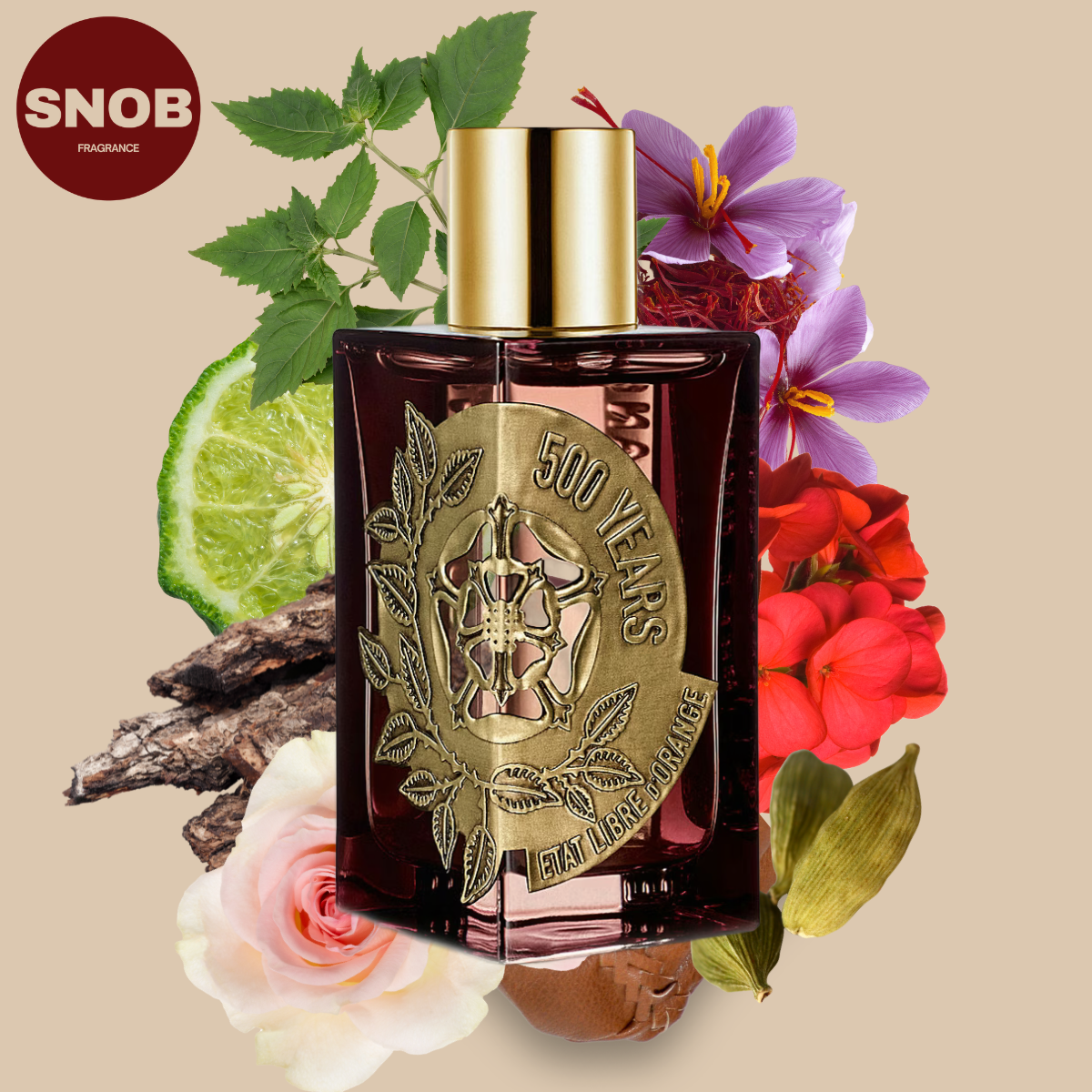 500 years etat libre d'orange fragrance parfum echantillon sample avec notes olfactives