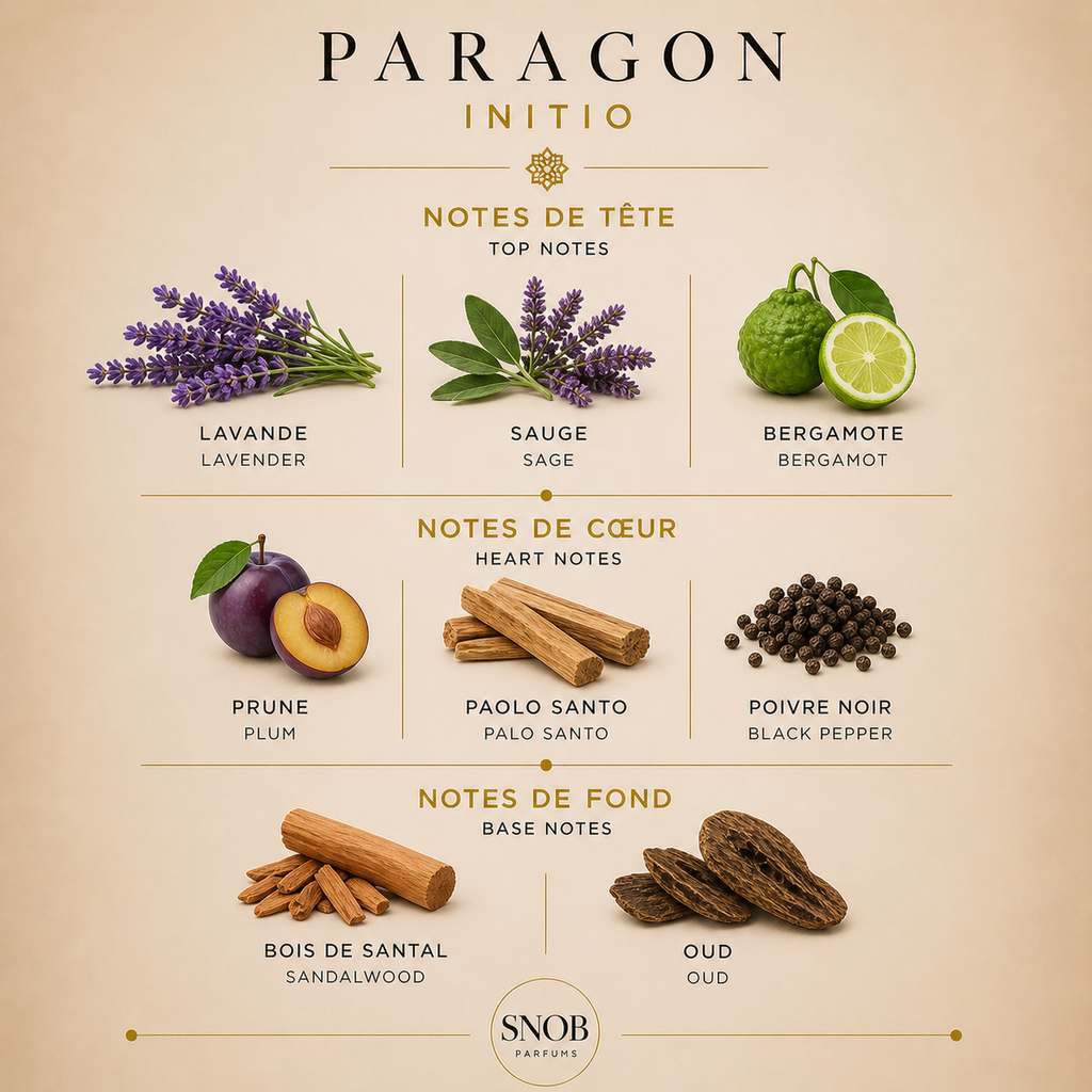 Paragon de initio en vente d'échantillon de parfum avec grille de notes visuel