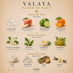 Valaya maison de marly parfum en vente d'échantillon avec grille de notes visuel