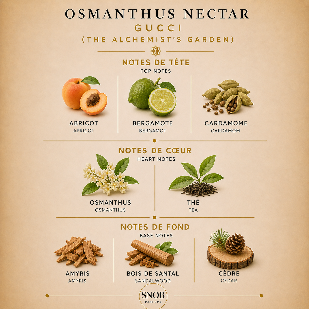 osmanthus nectar parfum de gucci the alchemist garden en vente d'échantillon de fragrance avec grille de notes visuel