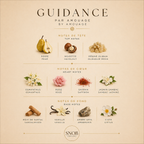 guidance amouage parfum fragrance sample echantillon avec notes