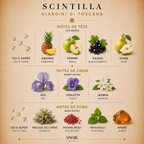 Siracusa - Gritti
