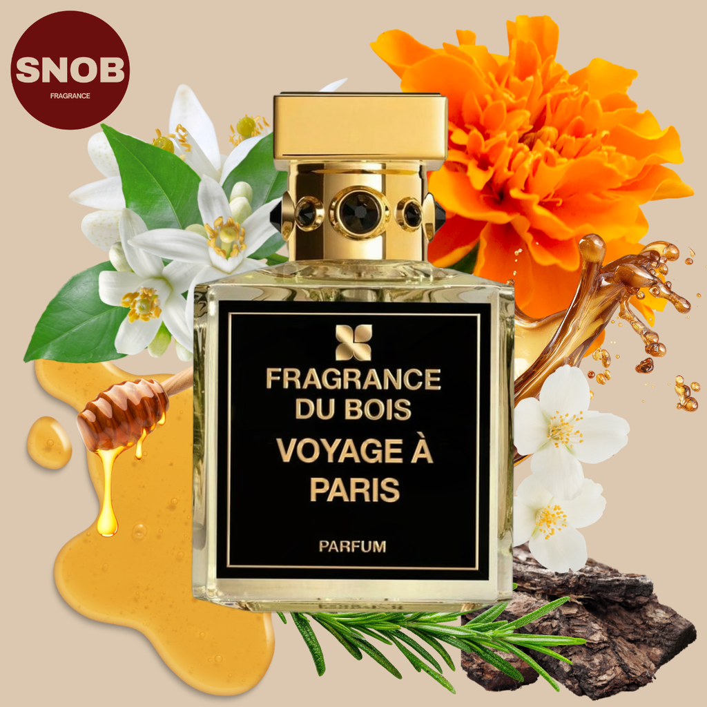 Voyage a paris de fragrance du bois en format de vente échantillon avec notes olfactives