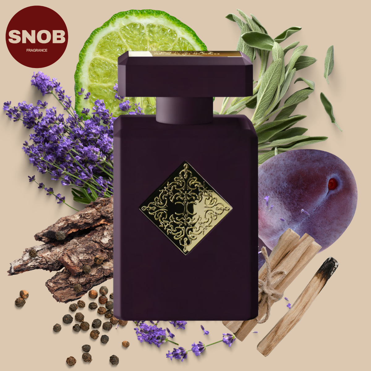 Paragon de initio en vente d'échantillon de parfum avec notes visuel